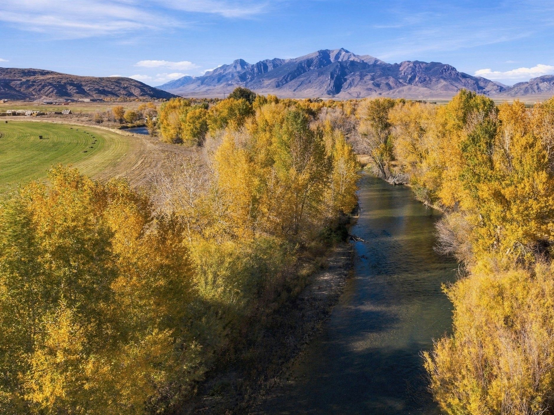 Listing Photo: Custer-County-Idaho-Irrigated-Farm-207-Acres (5)